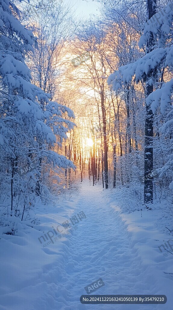 冬天森林夕陽雪景