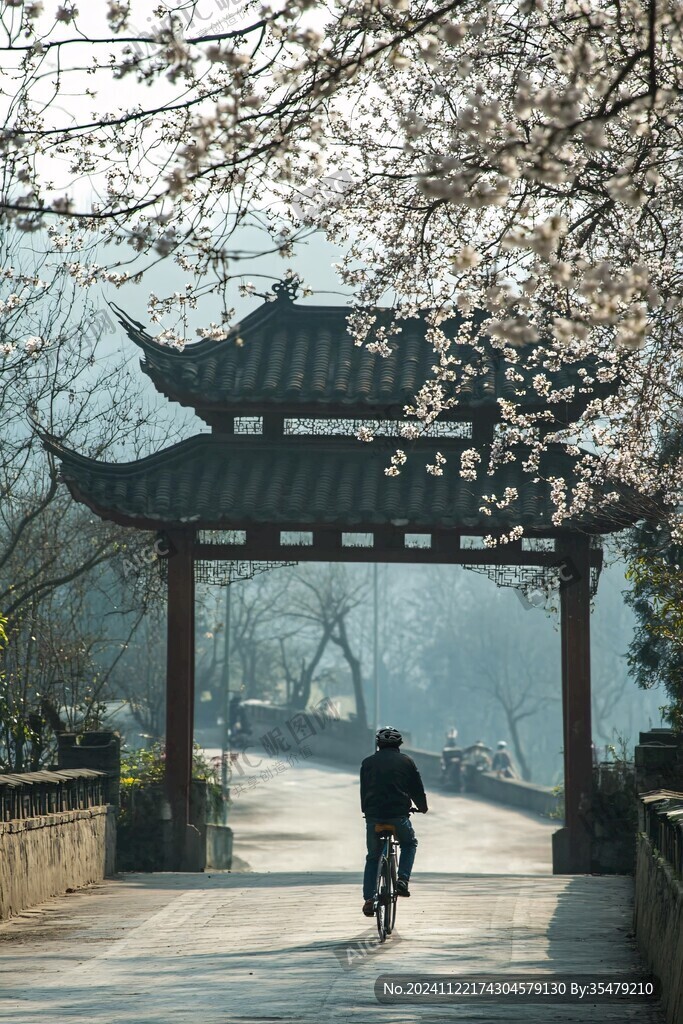 櫻花人文
