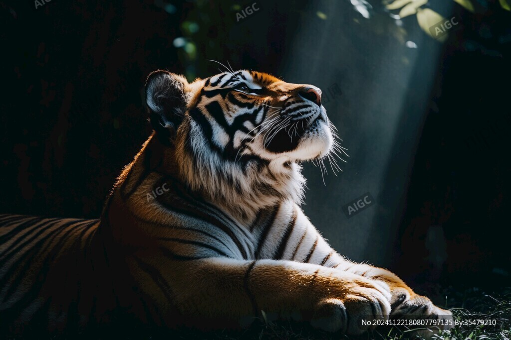 猛獸猛虎