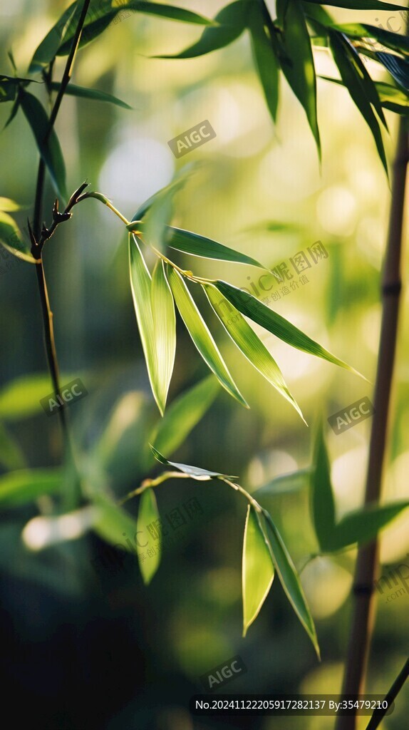 翠竹前景虛化