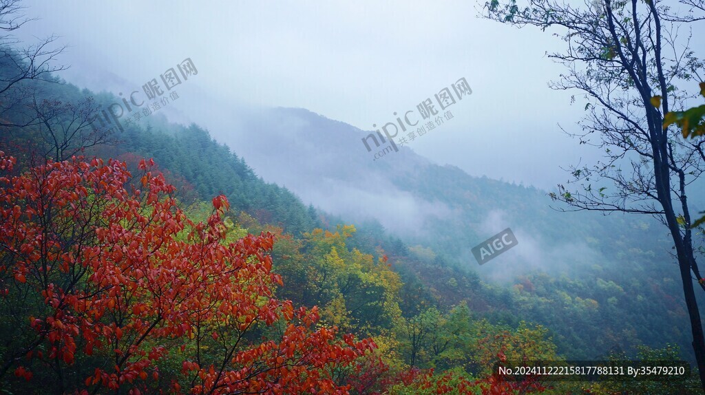 光霧山云霧