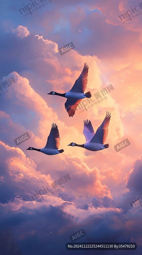 插畫飛鳥落日