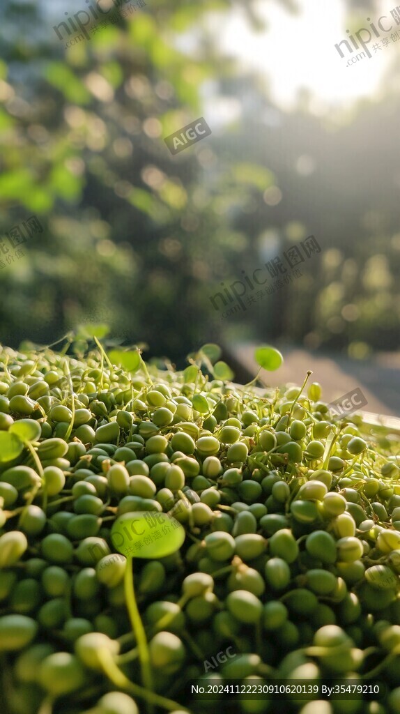 綠豆拍照