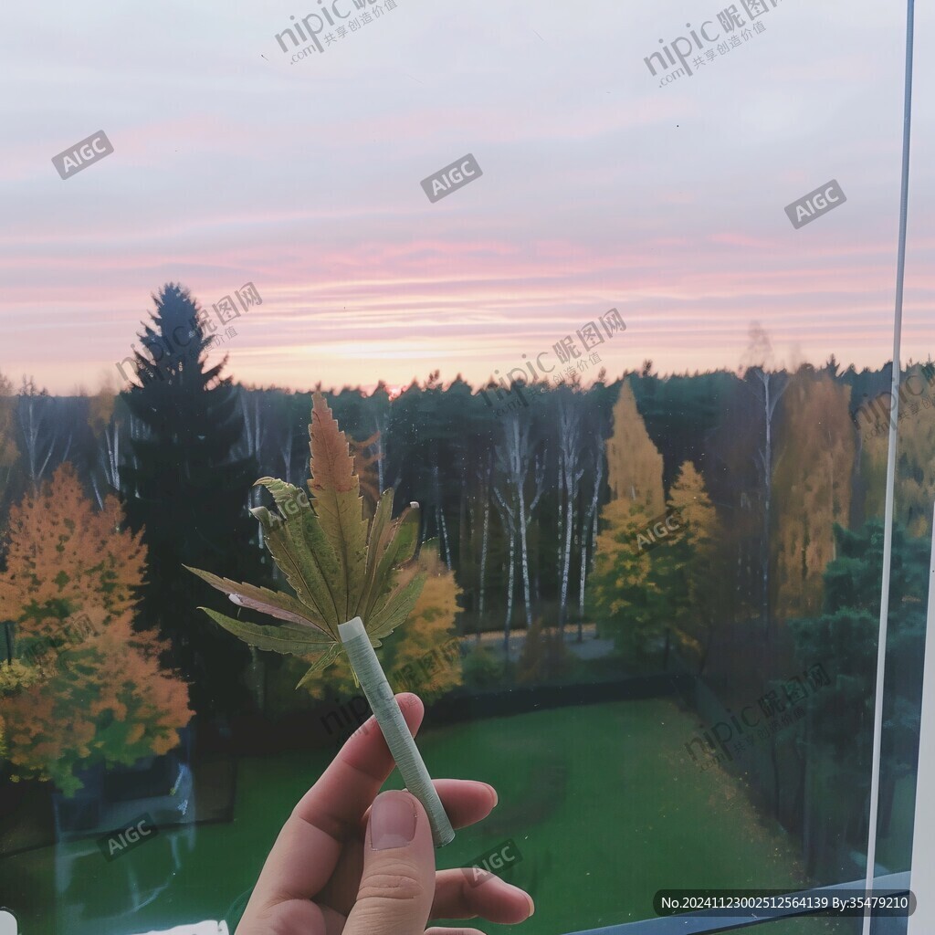 窗外秋景