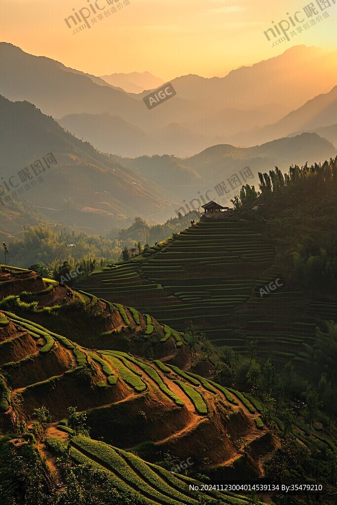 陽光龍脊