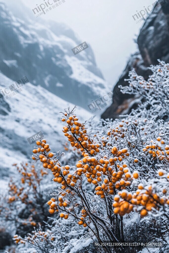 云霧雪景峽谷溝壑