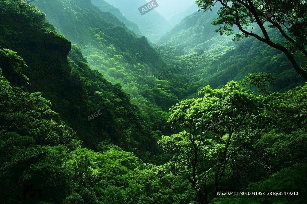 山林綠衫高山風(fēng)景桌面