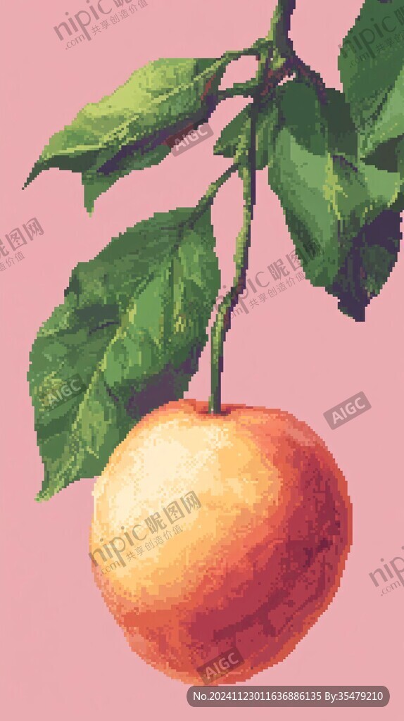 羅漢果插畫