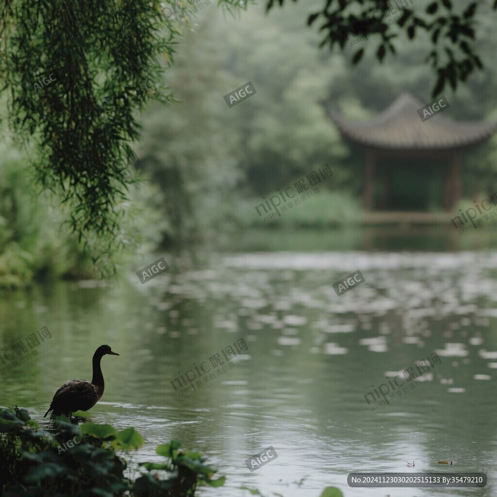 雨中茅家埠