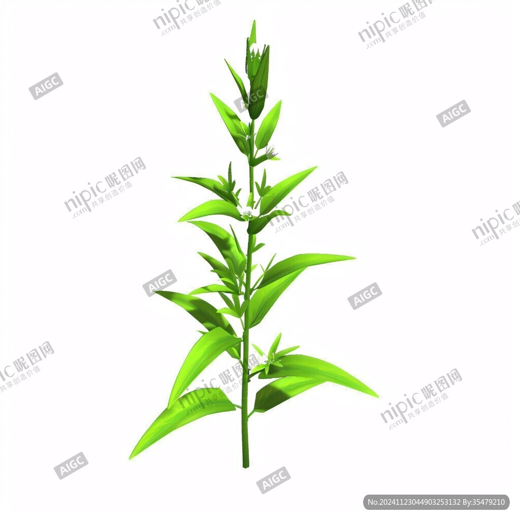 青竹葉竹葉素材