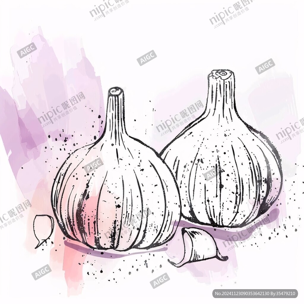 大蒜線描插畫