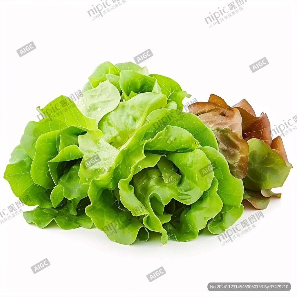 綠葉生菜5蔬菜新鮮
