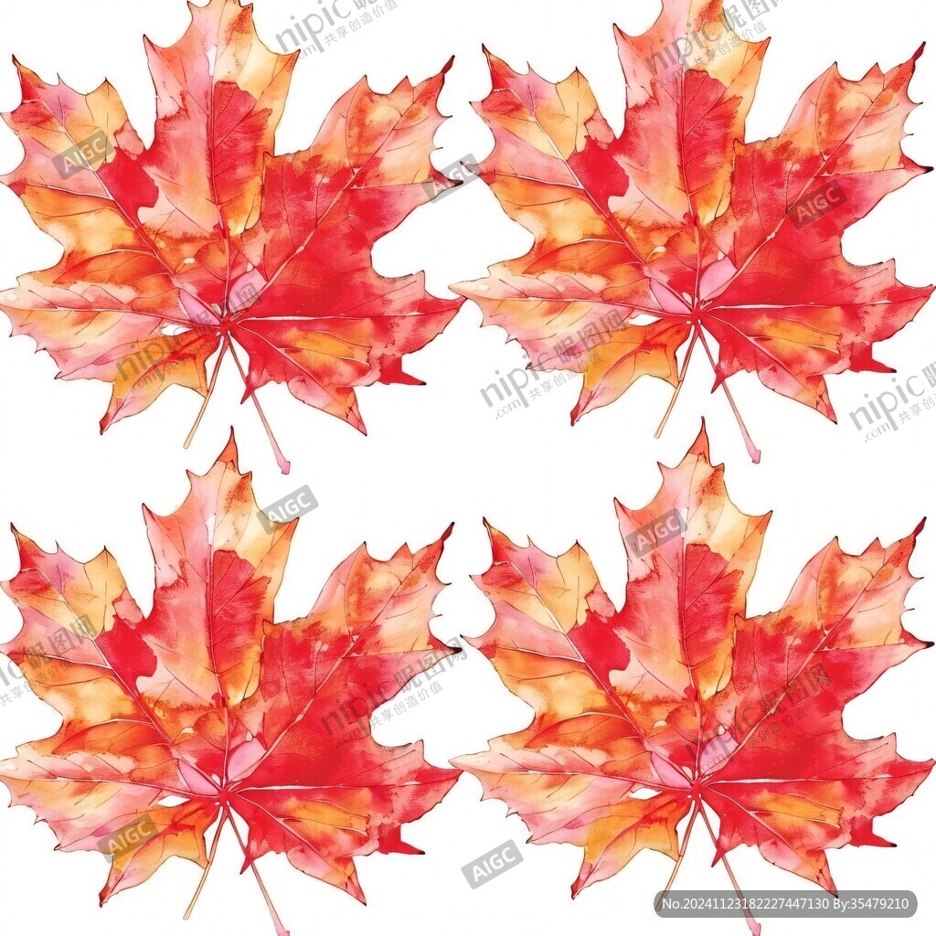 紅楓葉白底圖