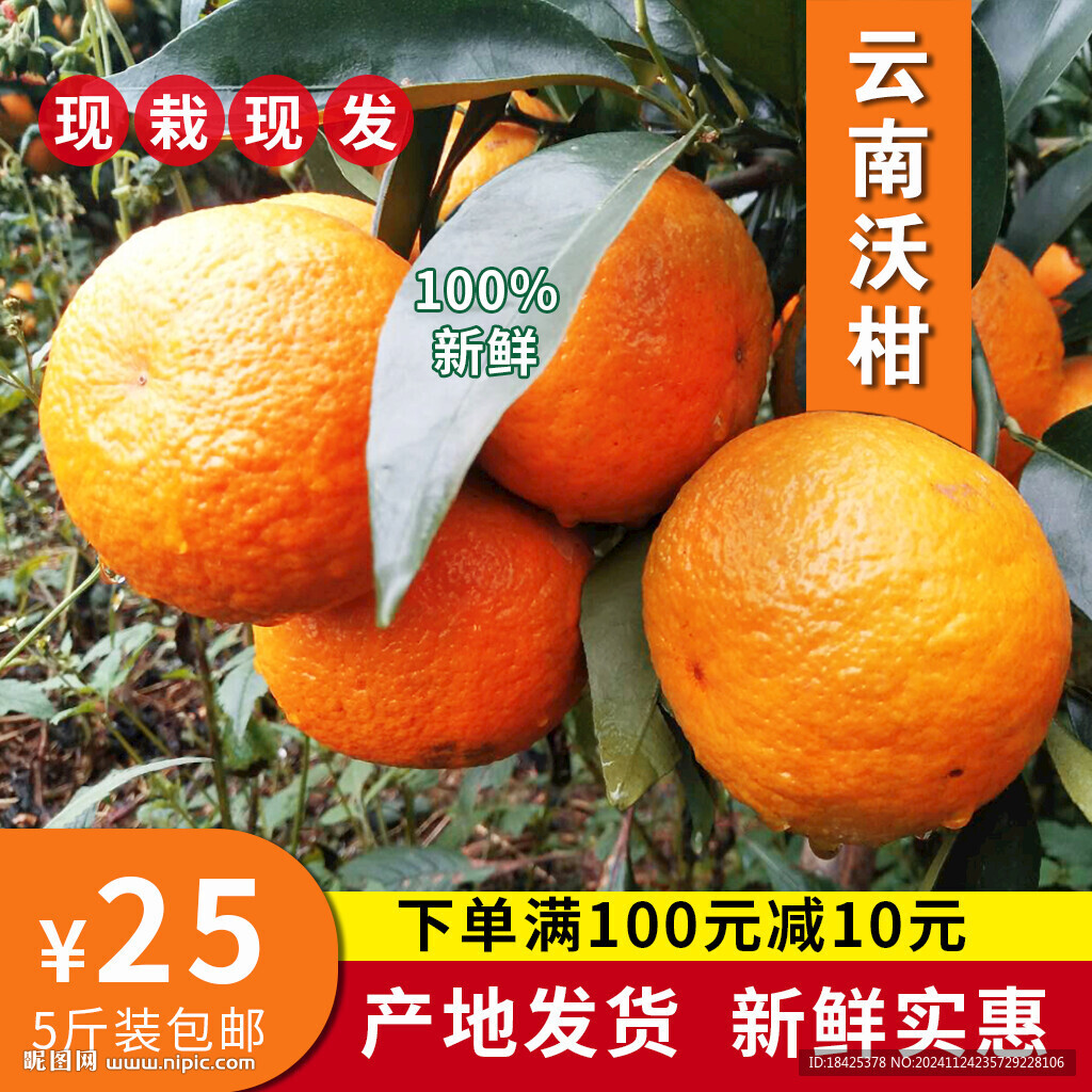 沃柑