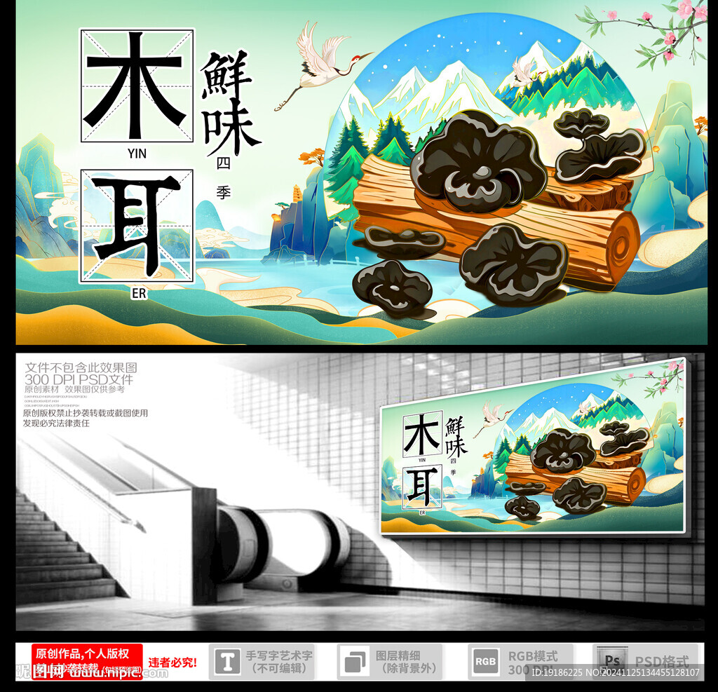 黑木耳