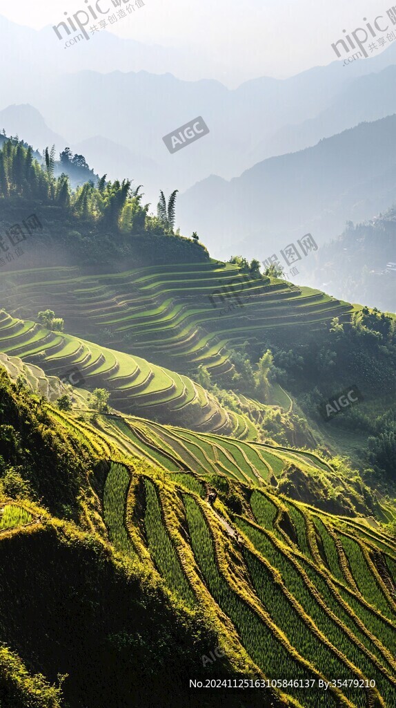 陽光龍脊
