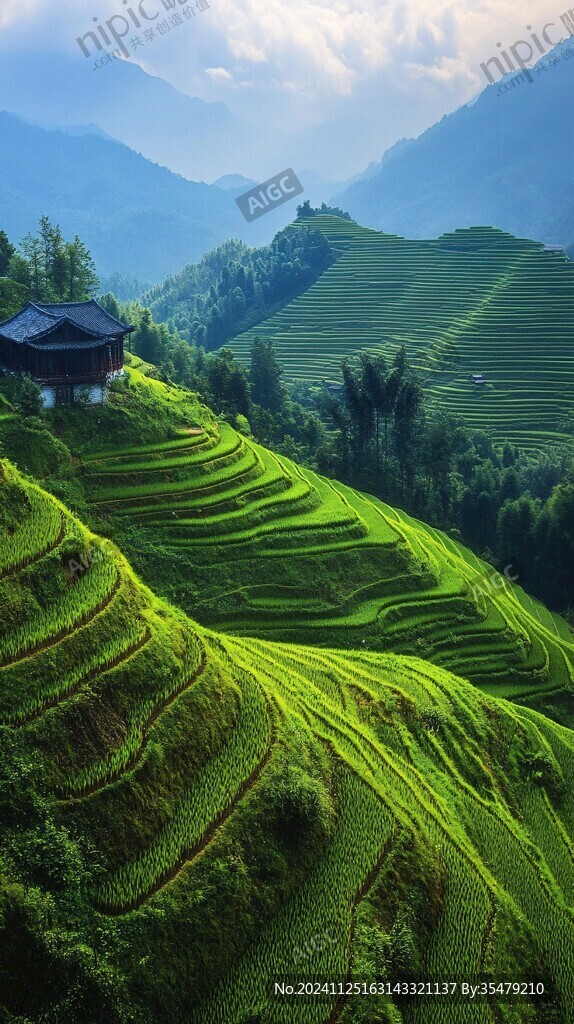 陽光龍脊