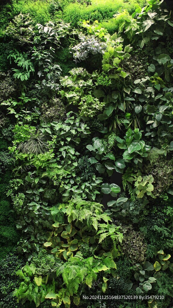 綠植墻面綠葉墻壁