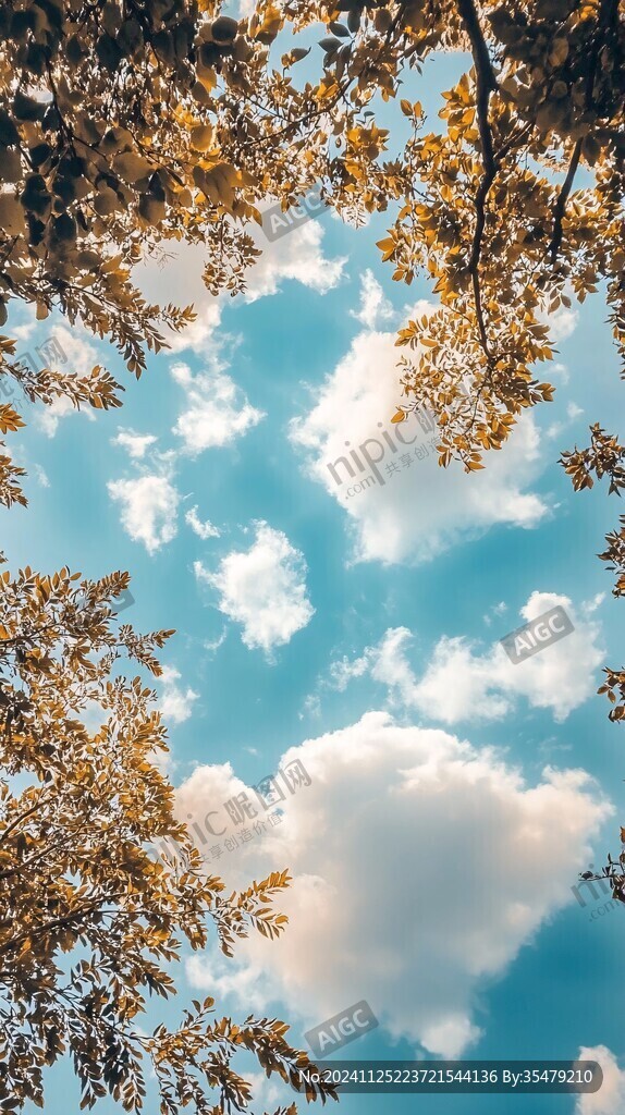 黃色樹葉藍天白云