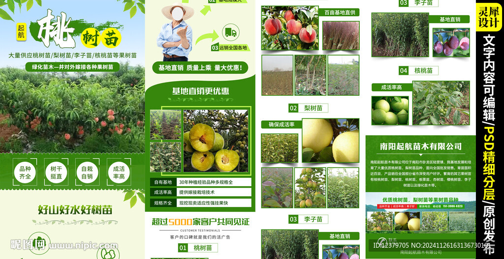 核桃苗種植落地頁模版