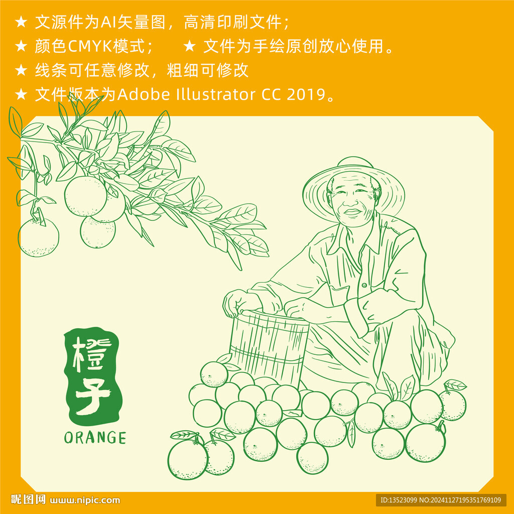 橙子手繪 水果插畫