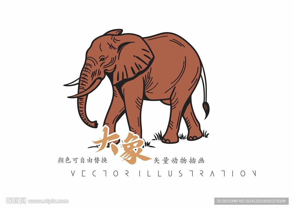 大象