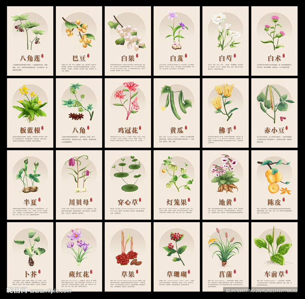 中藥圖片