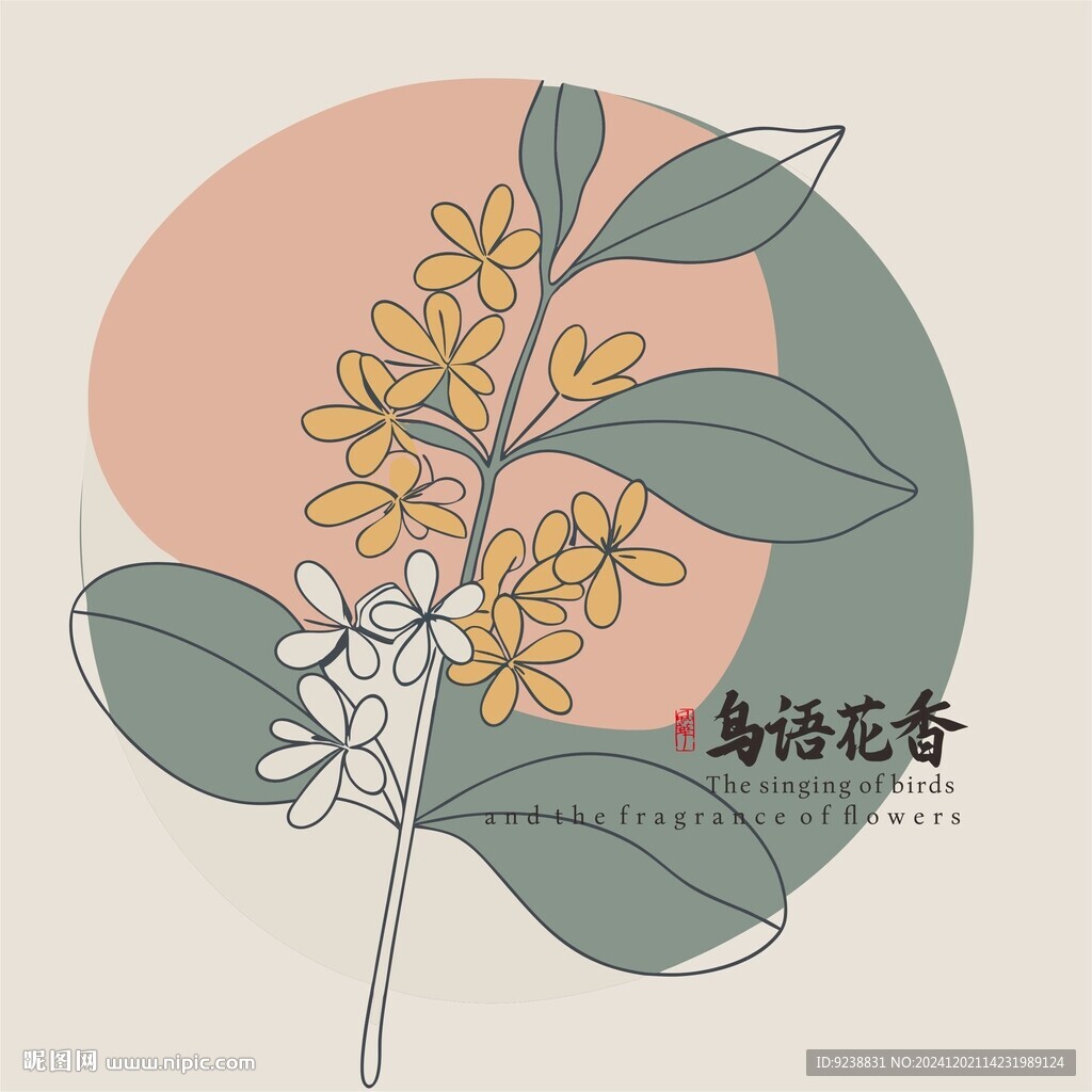 桂花插畫