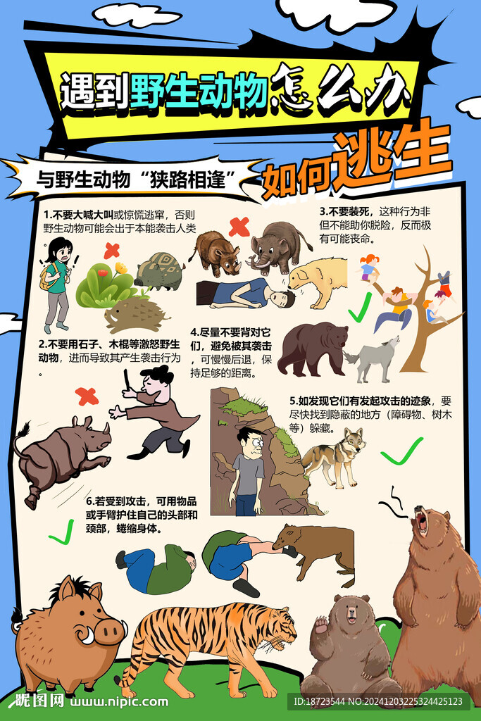 遇到野生動物怎么辦如何自救