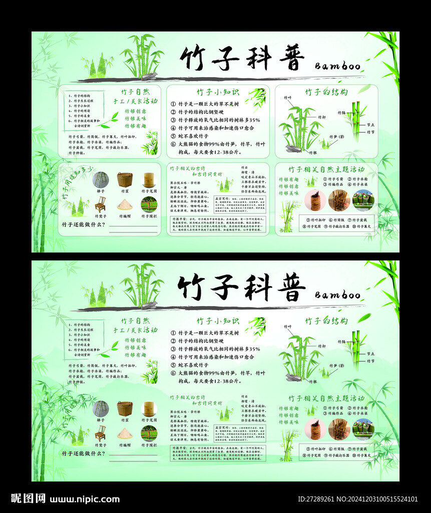 竹子科普展板