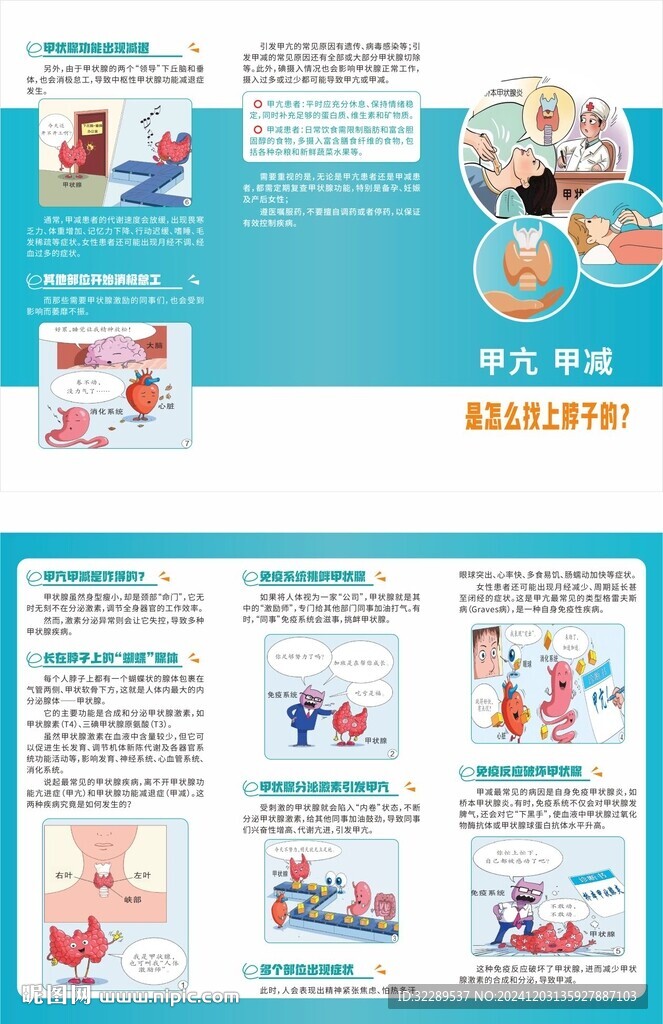 甲亢甲減是怎么找上脖子的三折頁(yè)