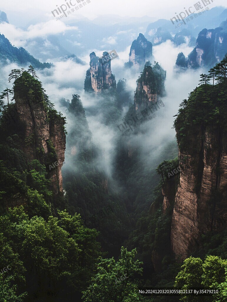 神堂灣迷霧