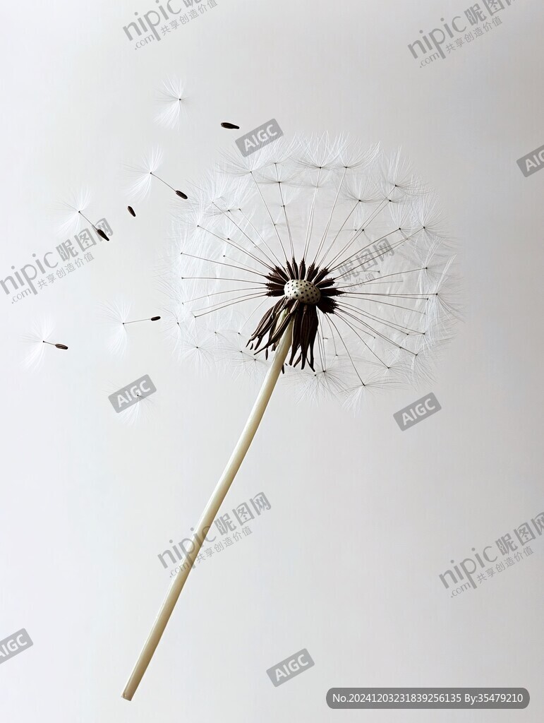 蒲英