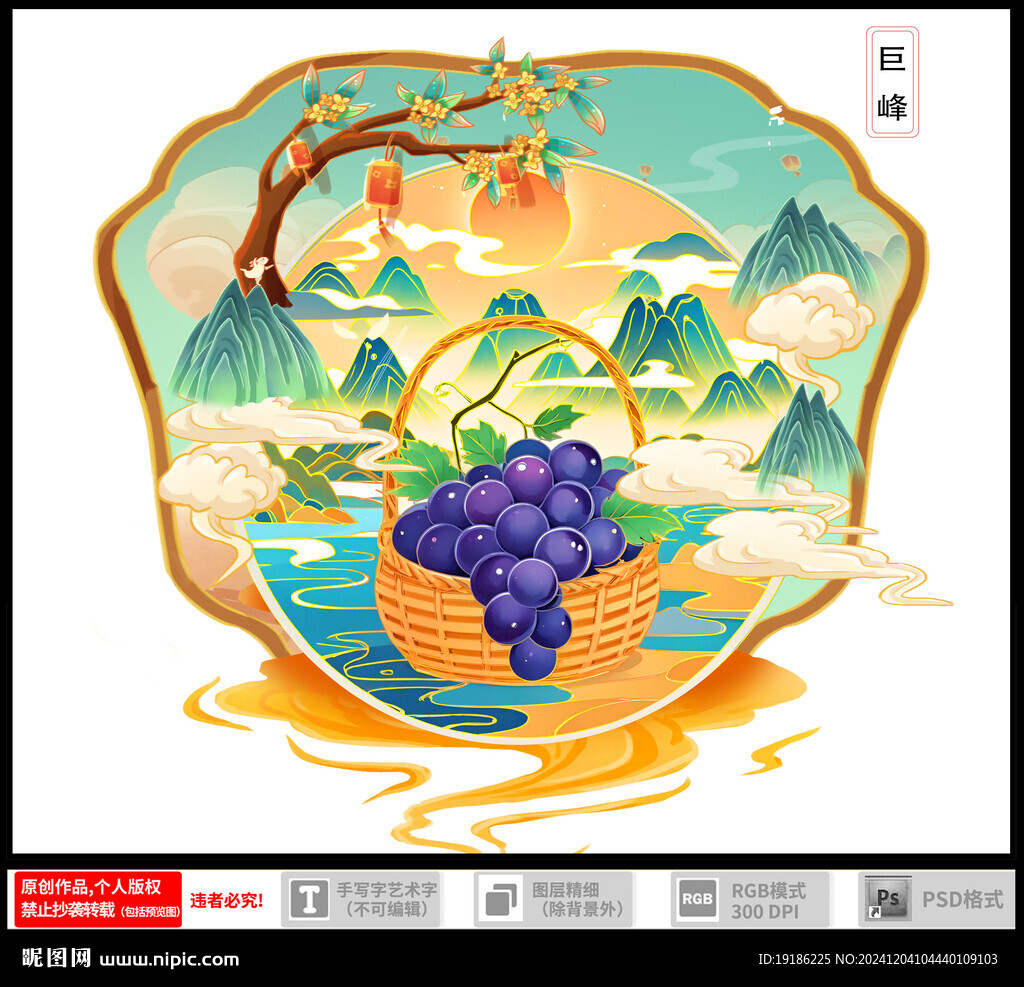 巨峰葡萄插畫