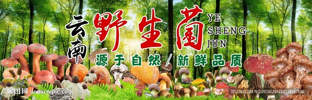 野生菌廣告
