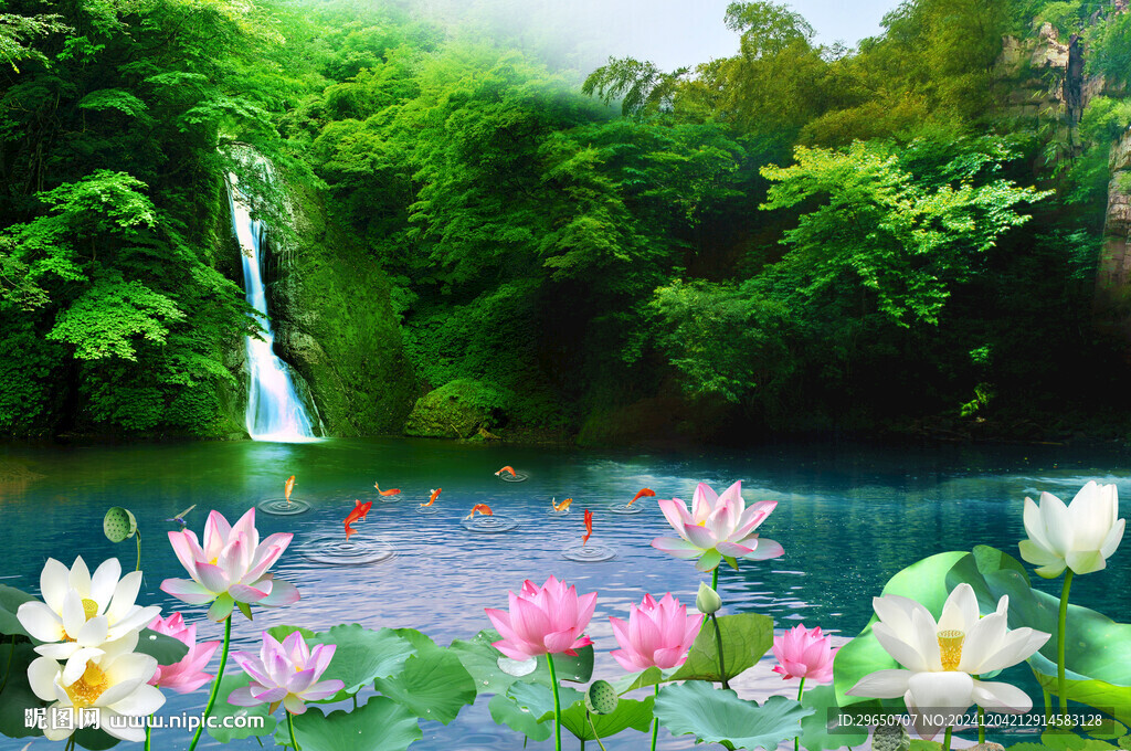 荷花流水背景