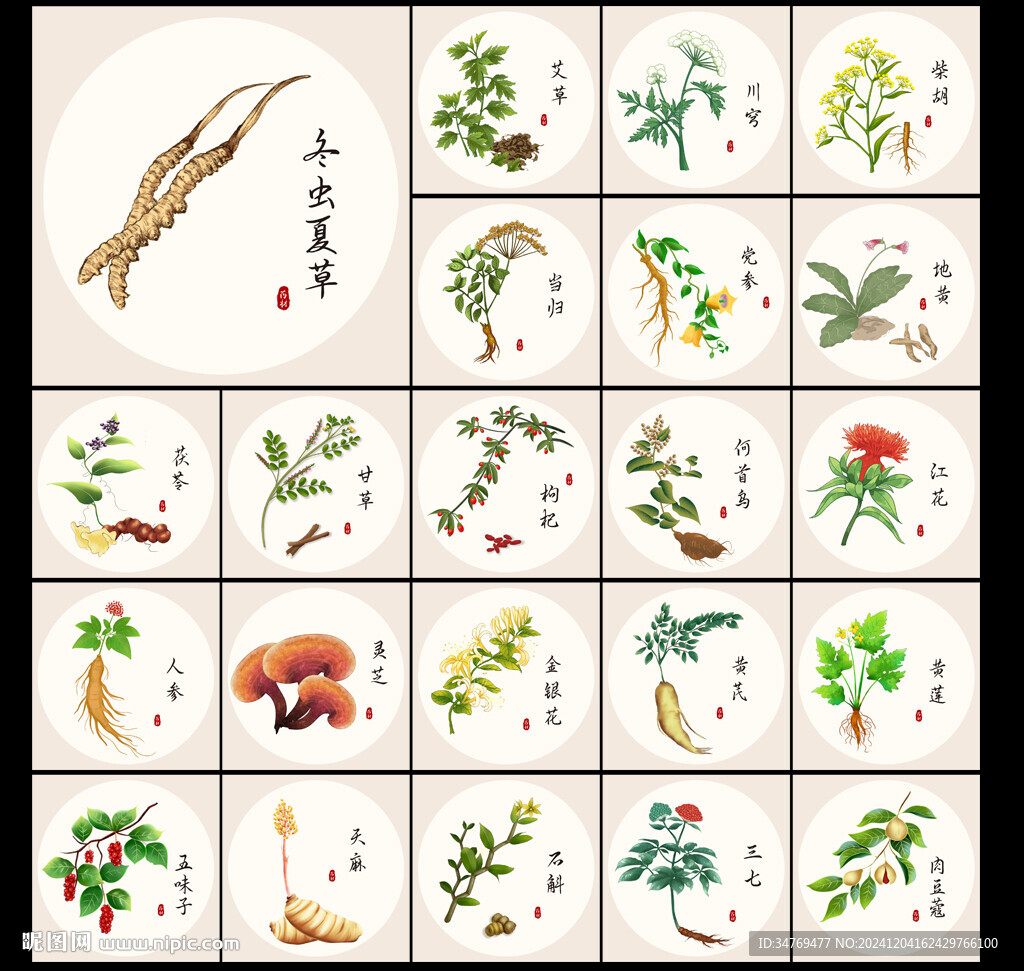 中藥材圖片