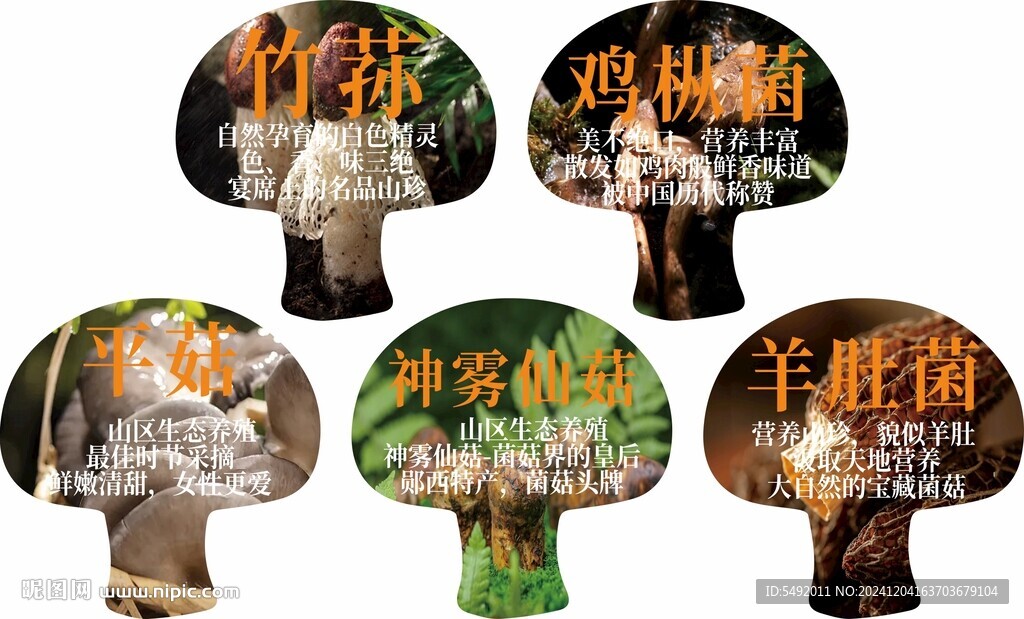 菌類