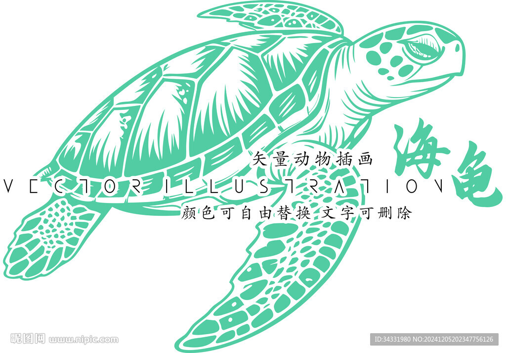 海龜