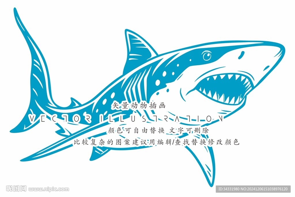 鯊魚