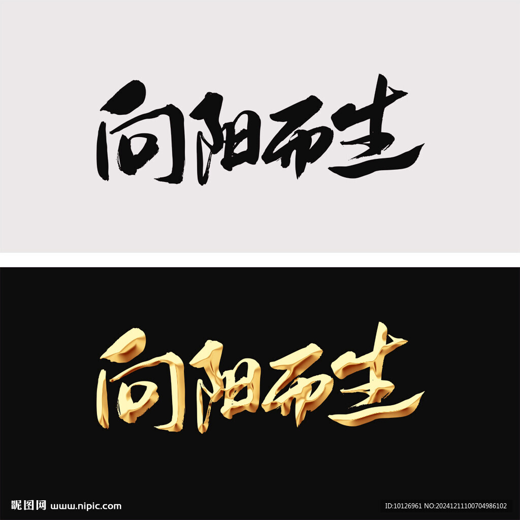 向陽而生