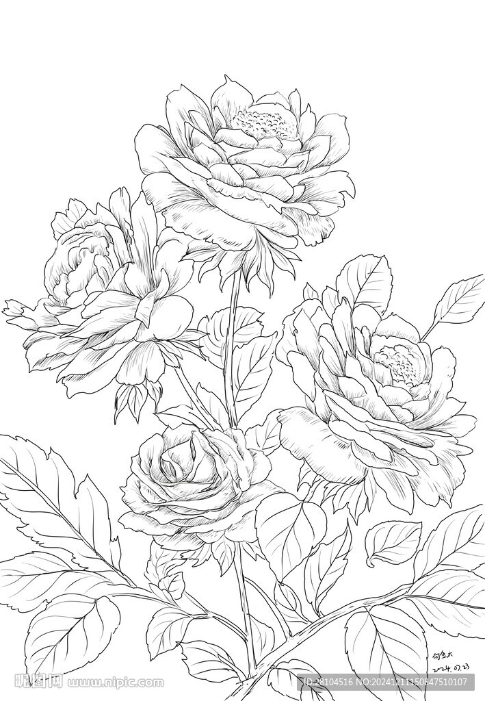 玫瑰花