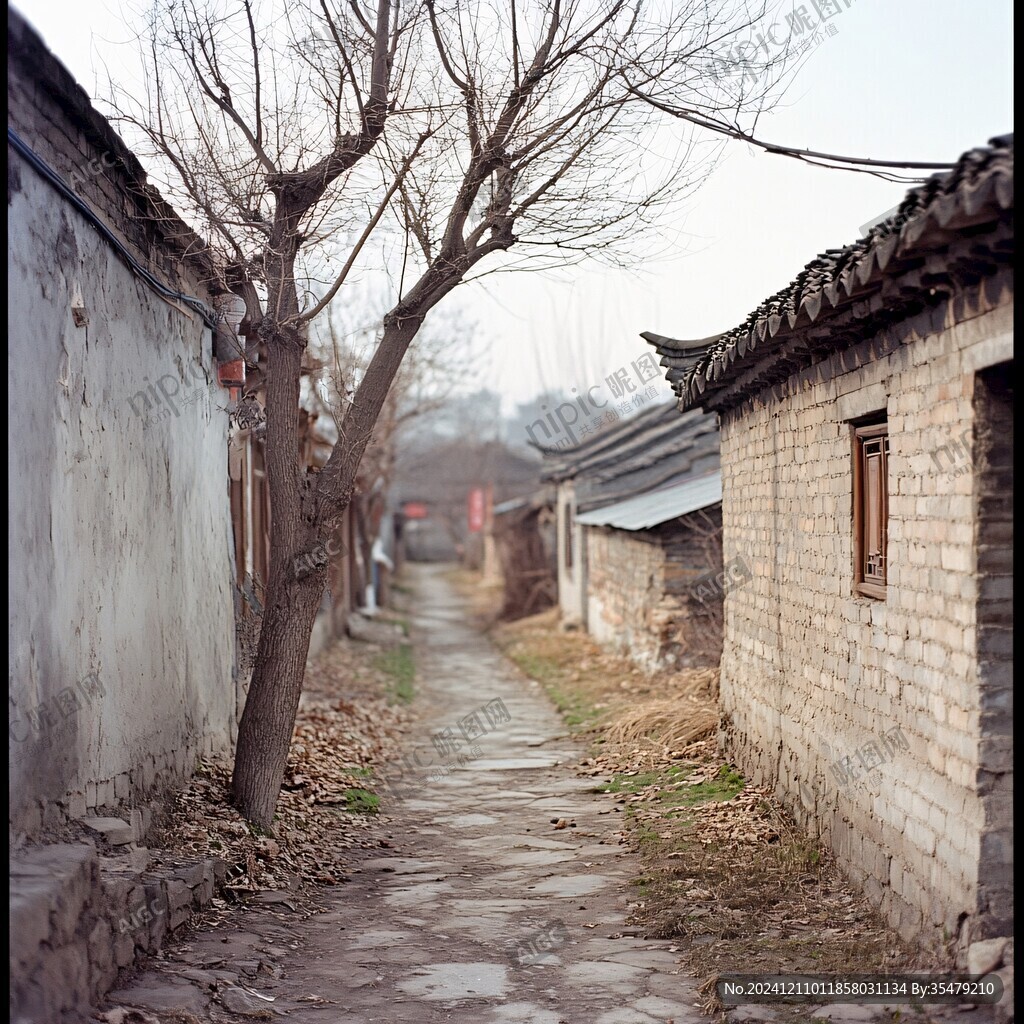 農(nóng)村小胡同