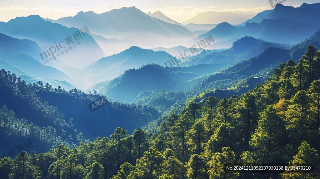 深山林海