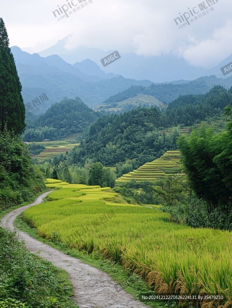 塔川梯田景色