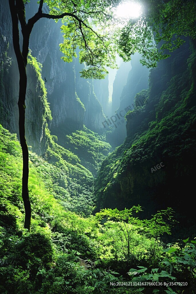 谷底一線天