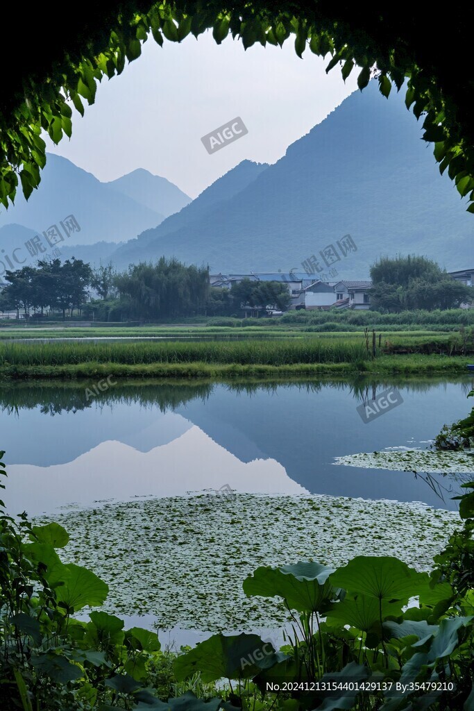 遠(yuǎn)山荷塘