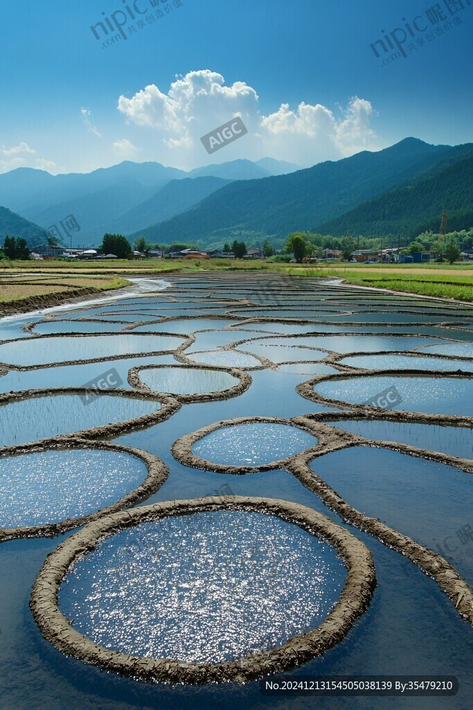 疊階水田