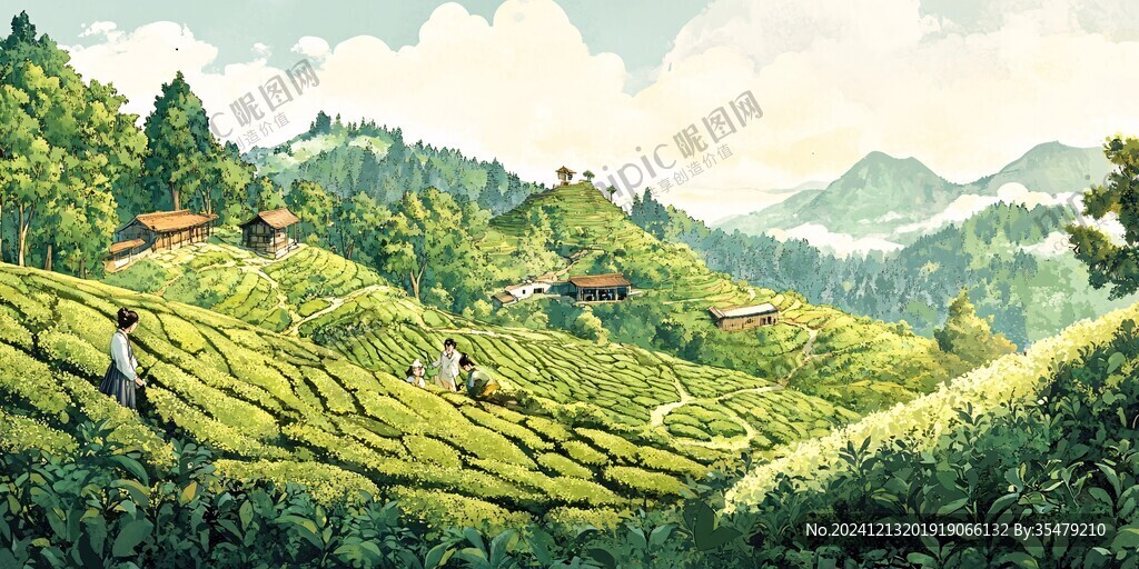 茶園插畫茶包裝插畫