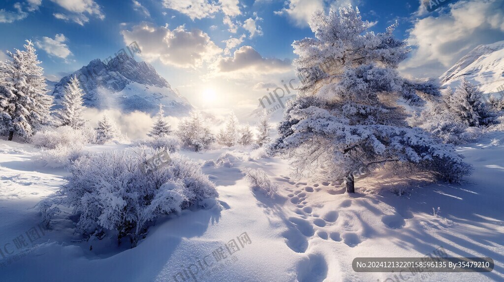 冬季雪景日出陽(yáng)光